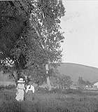 Thumbnail of and link to