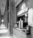 Thumbnail of and link to 