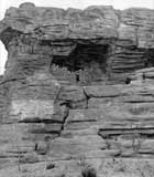 Thumbnail of and link to 