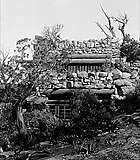 Thumbnail of and link to