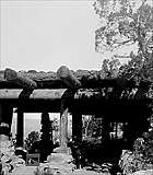 Thumbnail of and link to