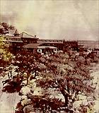 Thumbnail of and link to