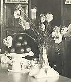 Thumbnail of and link to