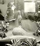Thumbnail of and link to
