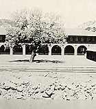 Thumbnail of and link to