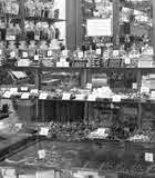 Thumbnail of and link to 