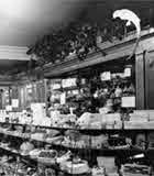 Thumbnail of and link to 